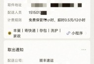 5分钟飞6公里送达,顺丰快递450公里一般几天送达？