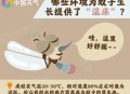 蚊子最爱的7类人,蚊子最爱咬哪几种人？