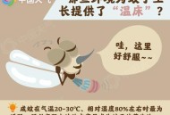 蚊子最爱的7类人,蚊子最爱咬哪几种人？