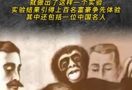 博主在印度被猴抢劫,网红胖猴子为啥把头条和抖音的作品几乎全部都删除了？意味着什么？