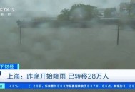 上海暴雨黄色预警,上海暴雨黄色预警解除