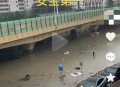 暴雨中被司机扔半路,下暴雨时路面严重积水，车辆淹没在水里，司机为什么不把车开出来呢？
