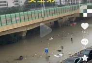 暴雨中被司机扔半路,下暴雨时路面严重积水，车辆淹没在水里，司机为什么不把车开出来呢？