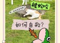 男子在湖边被蛇咬伤,蛇会主动攻击人类吗？