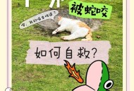 男子在湖边被蛇咬伤,蛇会主动攻击人类吗？