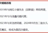 韩安冉又又又离婚,韩安冉复婚又分了