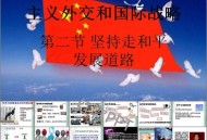 坚持走和平发展道路,走和平发展道路就是要坚持什么？
