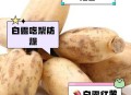 白露必吃的6种食物,白露必吃的6种食物图片