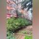 河北沧州出现巨响,沧州市上午轰隆一声怎么回事？