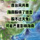 台风蝴蝶将登陆海南,蝴蝶都出现在什么地方？