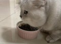 肥猫一年多减重16斤,肥猫一年多减重16斤正常吗
