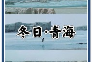 青海一草原7月下雪,青海什么时候下雪啊？