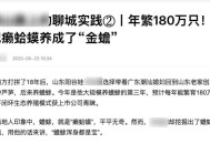 蛤蟆汤被罚45万,哈蟆汤怎么做