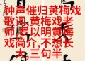 妹妹冒名姐姐结婚,黃梅戏慈母泪梗概？