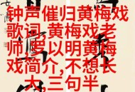妹妹冒名姐姐结婚,黃梅戏慈母泪梗概？