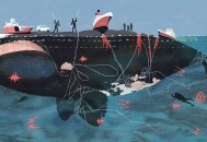 日本扑杀6000只鸡,哪些国家在捕鲸鱼，急？