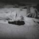 打死父亲其母欲顶罪,假如女儿失手杀死人，父亲为女儿顶罪，服刑完后  事情败露会发生什么？