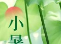 今日小暑,今日小暑图片大全