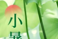 今日小暑,今日小暑图片大全