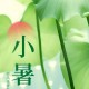 今日小暑,今日小暑图片大全