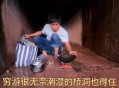 免费打工20年救母亲,如何看待四川一男子瞒母亲"在云南打工"，实则住桥洞10年研究彩票？