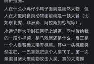 在动物园偷拽老虎毛,在北京延庆八达岭野生动物园内，老虎袭击游客，怎么看待这件事故的责任归属？