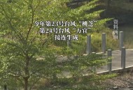 广东转移超15万人,因台风影响广东转移超15万人