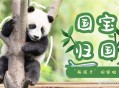 4只旅日大熊猫回国,国宝大熊猫回国了吗？