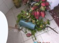 天降花盆砸路人脚边,常州特色礼物？