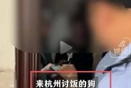 前台开错房房客误入,前台有办法查到租客信息吗？