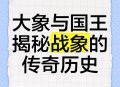 第14个世界大象日,吴王为什么攻打楚国？