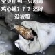三亚一酒店虫子成群,三亚咬人的虫是什么虫？