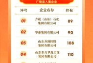 民营企业500强揭晓,中国民营企业500强排名？