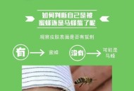上万蜜蜂进家里筑巢,黑头痘痘冒出芽，是上万螨虫在脸上筑巢吗？