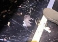 住全季半夜被老鼠咬,办公室里的老鼠多，晚上出来乱咬东西，怎么办？
