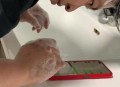 照镜子险被骗380万,照镜子险被骗380万怎么处理