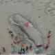 日本多条抹香鲸搁浅,抹香鲸为什么搁浅？