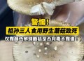 男童吃毒蘑菇去世,【吃菌中毒症状有哪些】？