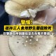 男童吃毒蘑菇去世,【吃菌中毒症状有哪些】？