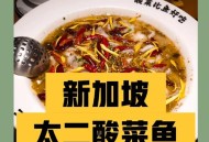 太二卖不动酸菜鱼了,太二酸菜鱼品牌故事？