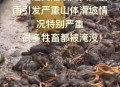 广西山体滑坡致3死,2020年12.3日发生了什么？