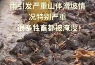 广西山体滑坡致3死,2020年12.3日发生了什么？