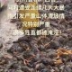 广西山体滑坡致3死,2020年12.3日发生了什么？