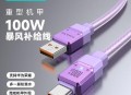 多所高校禁用罗马仕,