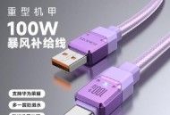 多所高校禁用罗马仕,