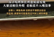 烤鱼盘下蛆虫乱爬,为什么烤鱼上有胶状的长形虫子？