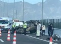游客自驾撞死6匹马,河南男子边开车边喝酒，车后还遛着一匹马，你怎么看待这件事？