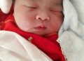 机上分娩女婴仅2斤,母猫4斤能生孩子吗？