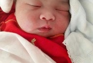 机上分娩女婴仅2斤,母猫4斤能生孩子吗？