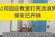 保安打死校内流浪狗,家里养的狗被门卫保安打死了，我们怎么去处理？
